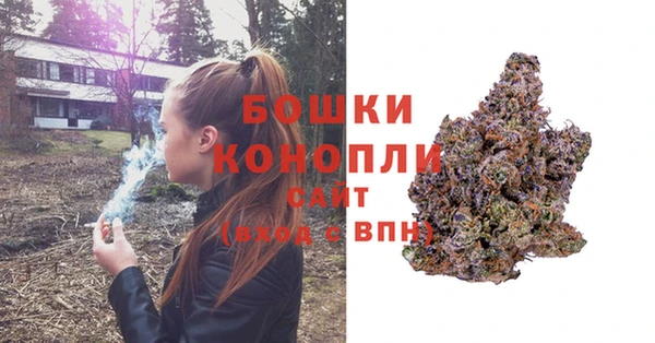 мдма Новозыбков