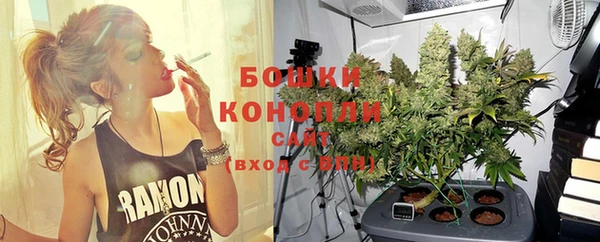 не бодяженный Няндома