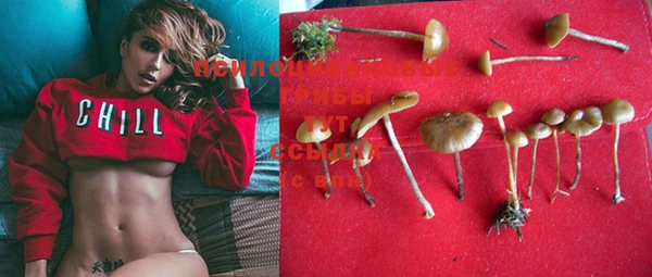 не бодяженный Няндома